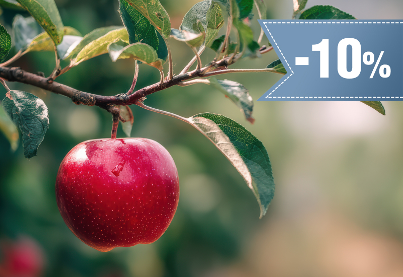 10% rabatu na drzewa i krzewy owocowe