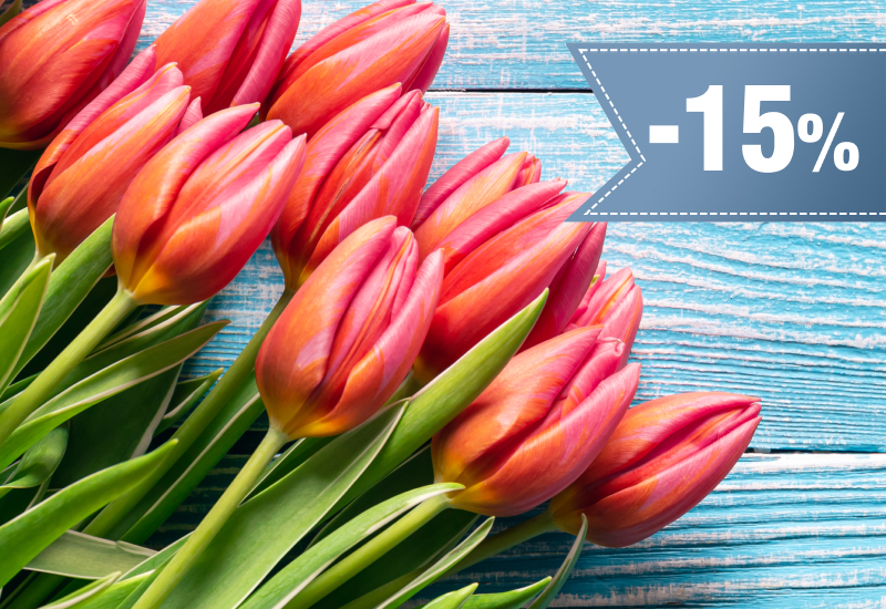 15% rabatu na Tulipany
